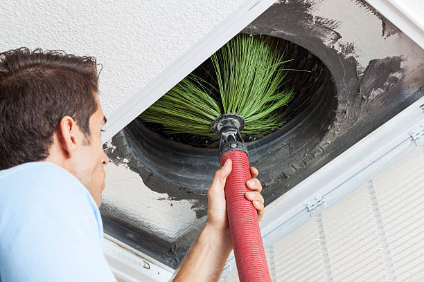 Best Air Duct Mold Removal  in Huntland, TN